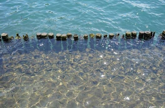 la transparence à l’épreuve