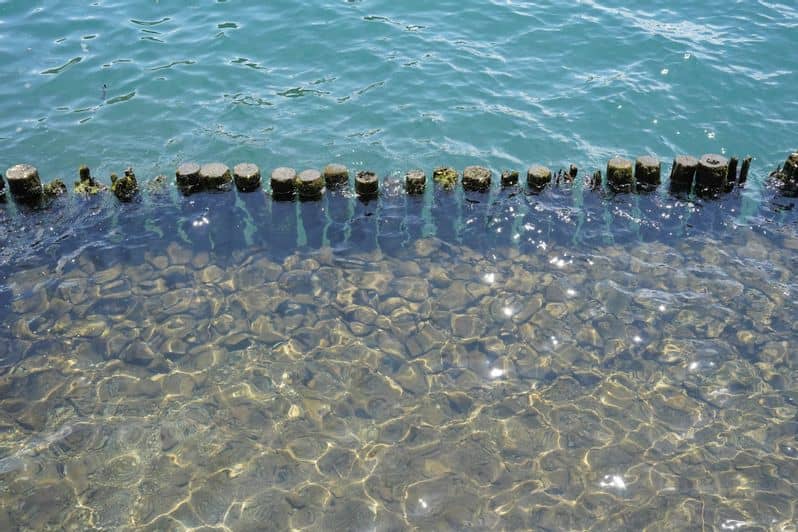 la transparence à l’épreuve